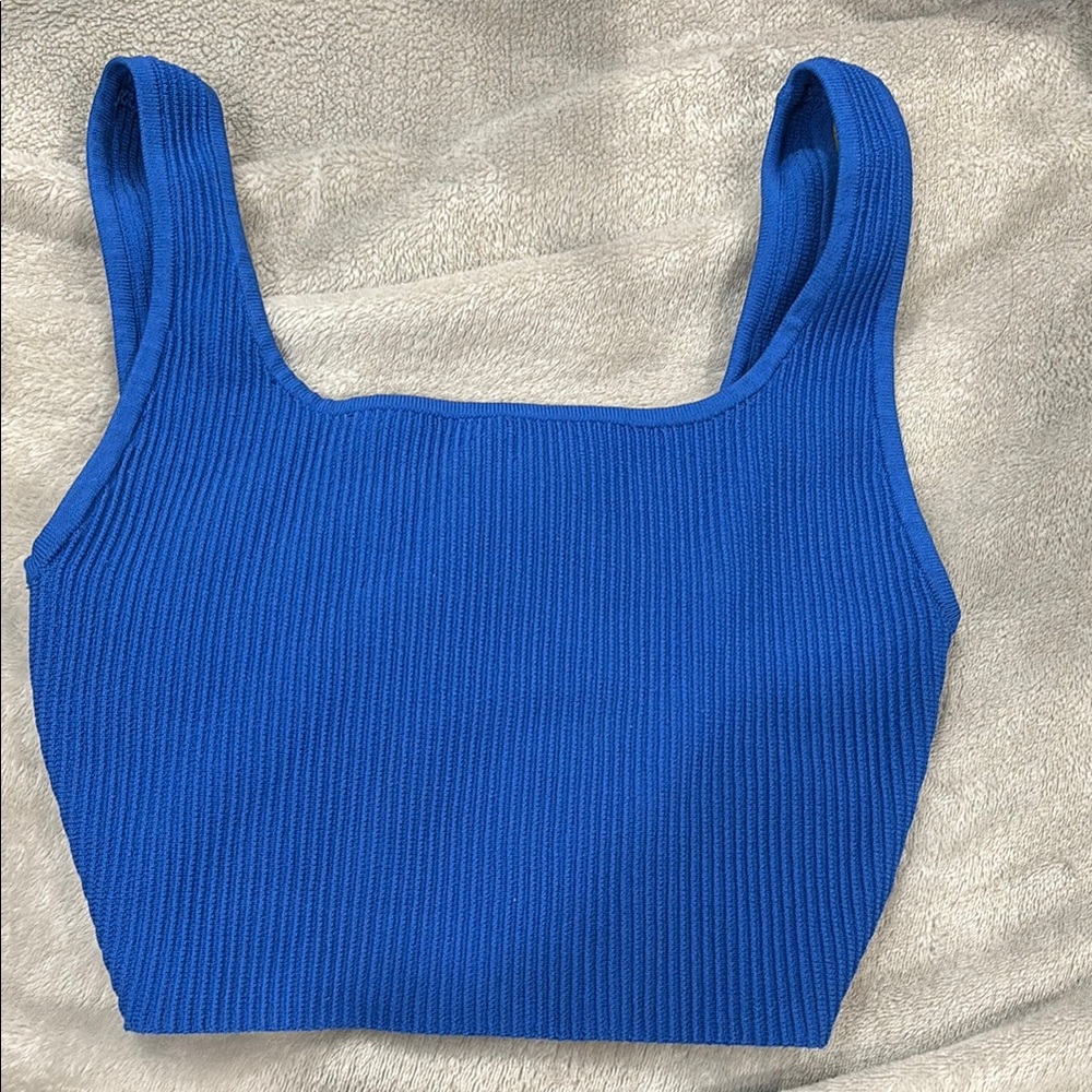 Aritzia Babaton Scuppt Knit Tank